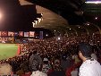 The crowd