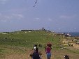 The fort in the distance